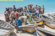 boats on the beach